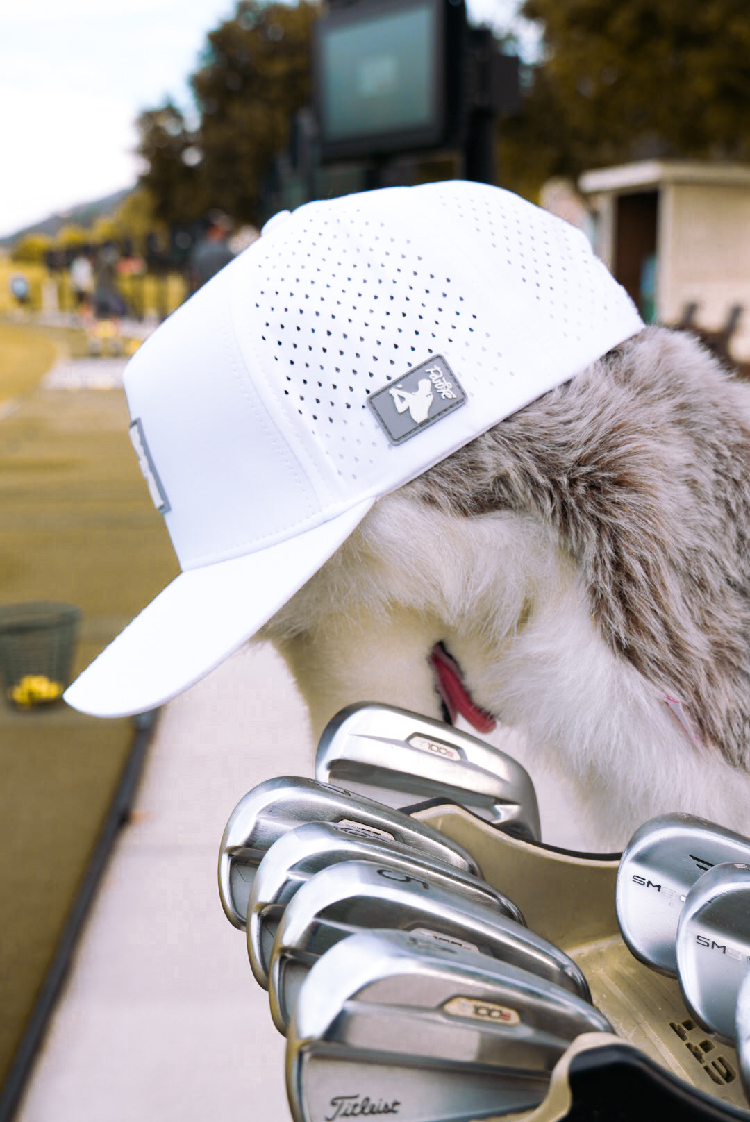 Parlife Head-down performance snapback